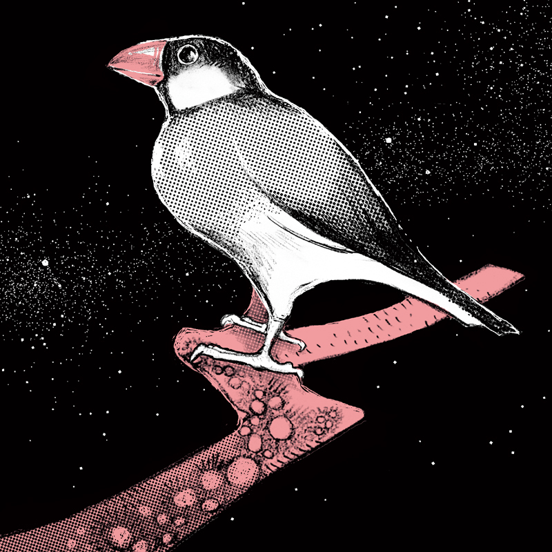 thumbnail of the cover of the post